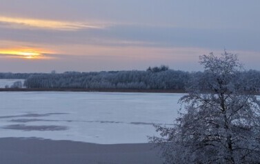 DJI_20260109153458_0221_D