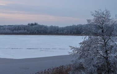 DJI_20260109153428_0220_D