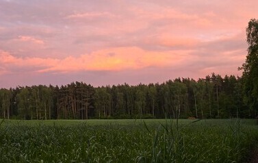 20260513_203023