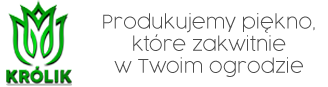 Logo BK