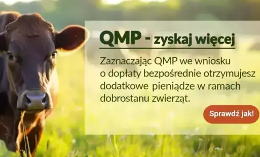 Zdjęcie artykułu z dnia 10-06-2025