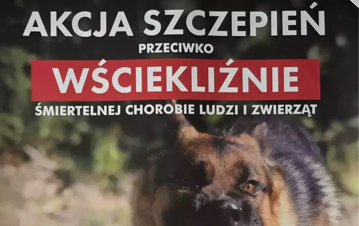 Zdjęcie do Akcja szczepień przeciwko wściekliźnie
