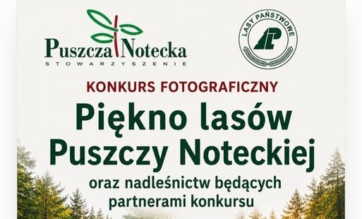 Zdjęcie do Konkurs Fotograficzny
